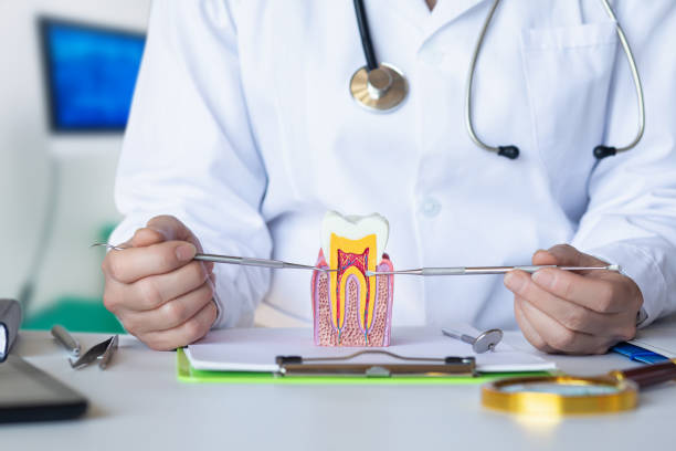 Best Emergency Dental Filling Replacement  in Salt Creek Commons, IN